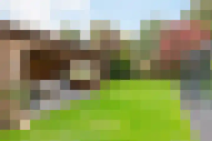 De Venne 7 Wolvega thumbnail 44