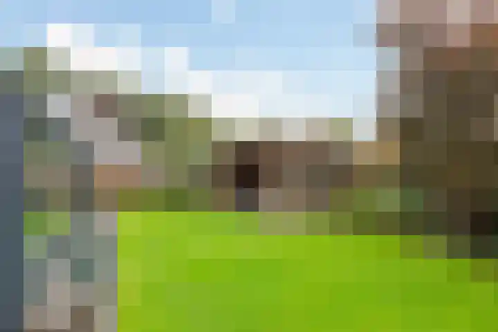 De Venne 7 Wolvega thumbnail 48
