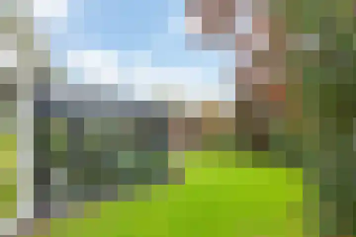 De Venne 7 Wolvega thumbnail 49