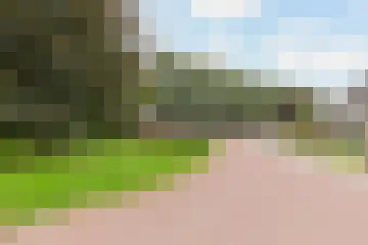 De Venne 7 Wolvega thumbnail 51