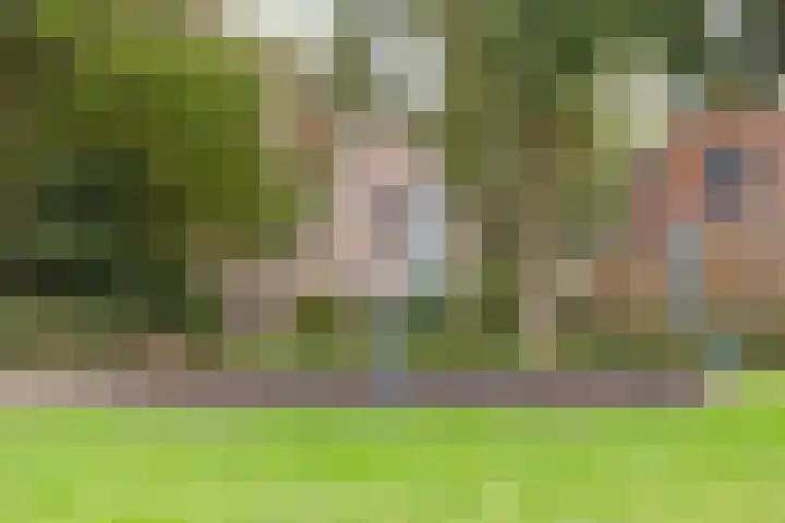 De Venne 7 Wolvega thumbnail 52