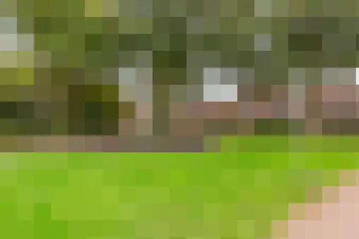 De Venne 7 Wolvega thumbnail 53