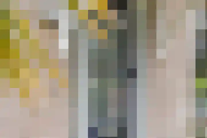 De Venne 7 Wolvega thumbnail 6