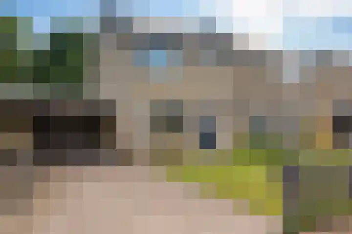 De Vennen 16 Eenrum
