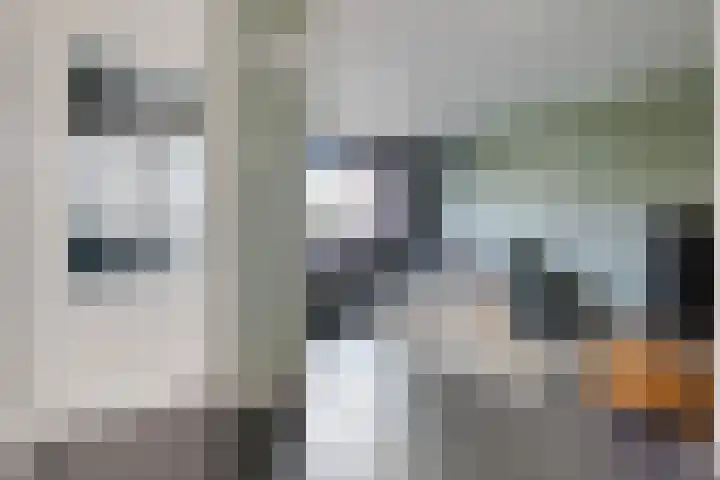 De Vennen 16 Eenrum thumbnail 15