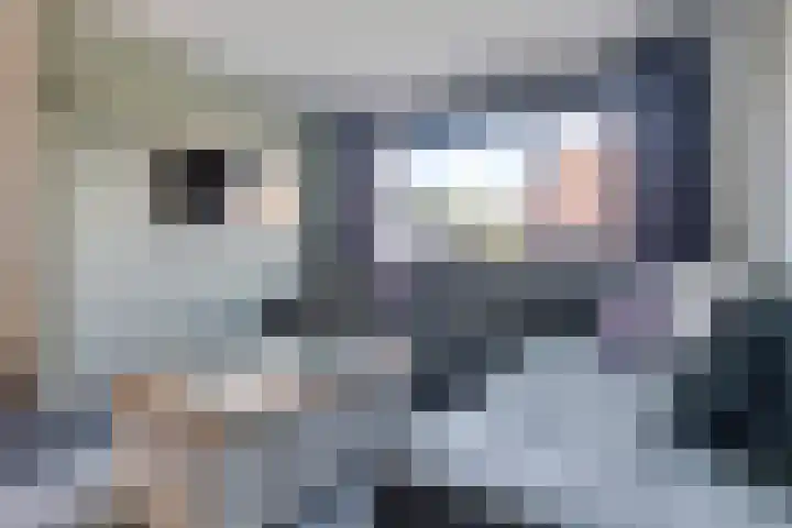 De Vennen 16 Eenrum thumbnail 17