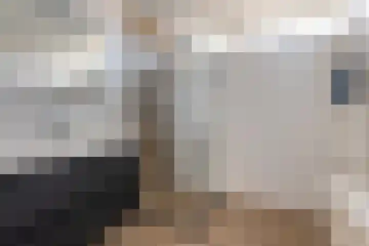De Vennen 16 Eenrum thumbnail 26