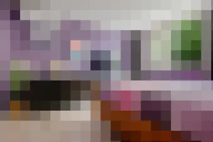 De Vennen 16 Eenrum thumbnail 31