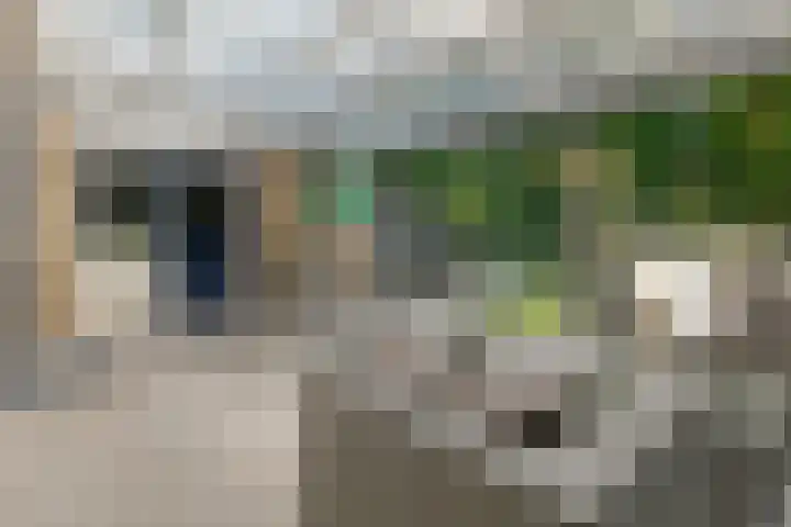 De Vennen 16 Eenrum thumbnail 40