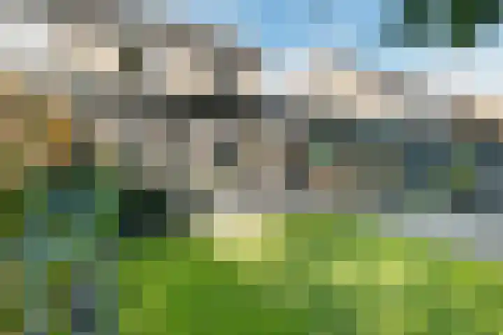 De Vennen 16 Eenrum thumbnail 6