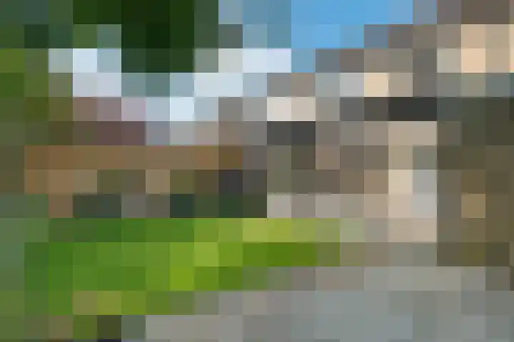 De Vennen 16 Eenrum thumbnail 7