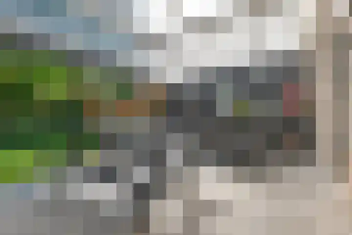 De Vennen 16 Eenrum thumbnail 8