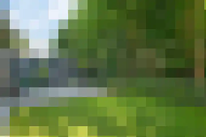 De Vennen 16 Eenrum thumbnail 9