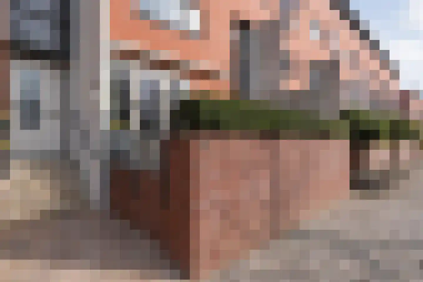 De Vennen 36 dans Vlagtwedde
