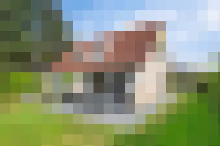 De Vennen 36 Vlagtwedde