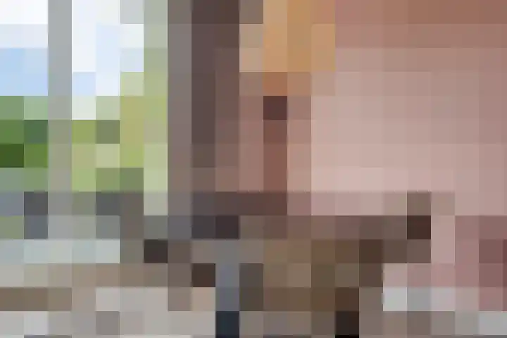 De Vennen 36 Vlagtwedde thumbnail 10