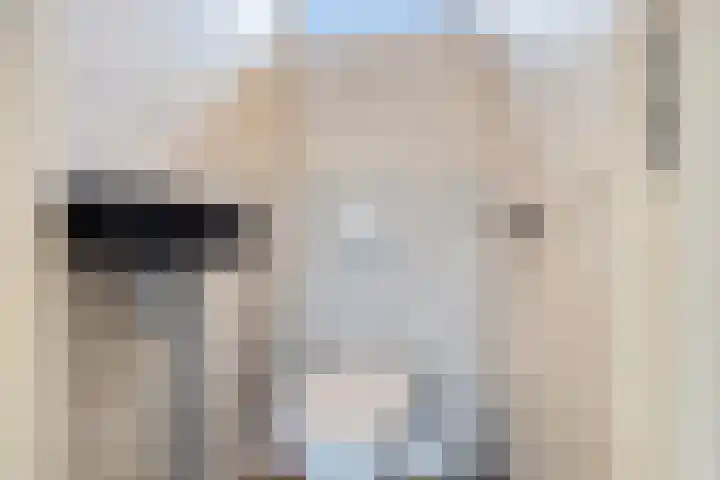 De Vennen 36 Vlagtwedde thumbnail 21