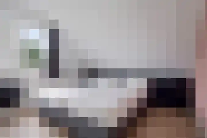 De Vennen 36 Vlagtwedde thumbnail 23