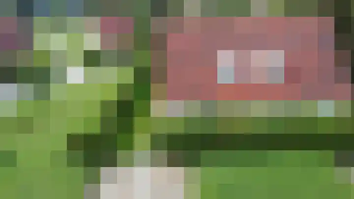 De Vennen 36 Vlagtwedde thumbnail 32