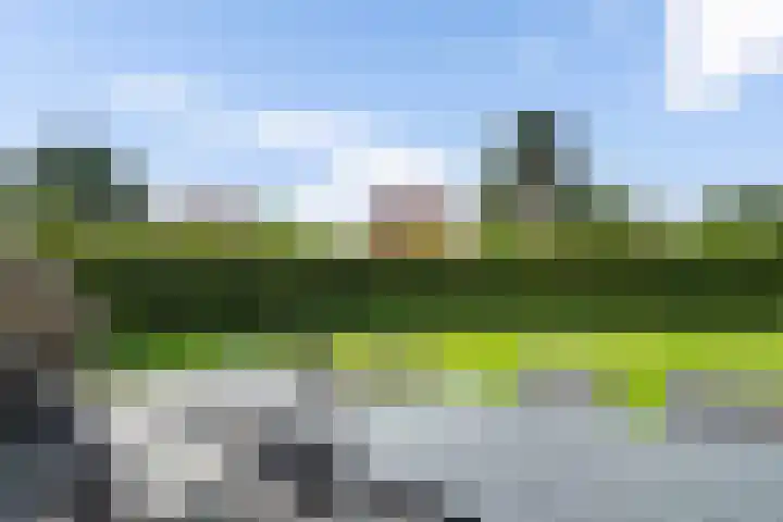 De Vennen 36 Vlagtwedde thumbnail 36