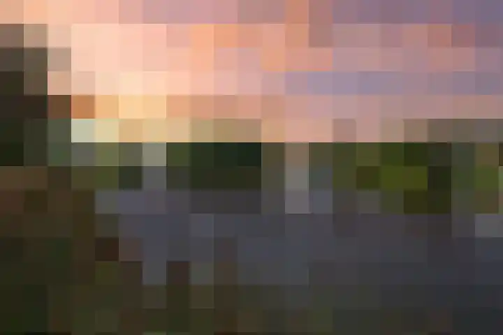 De Vennen 36 Vlagtwedde thumbnail 38