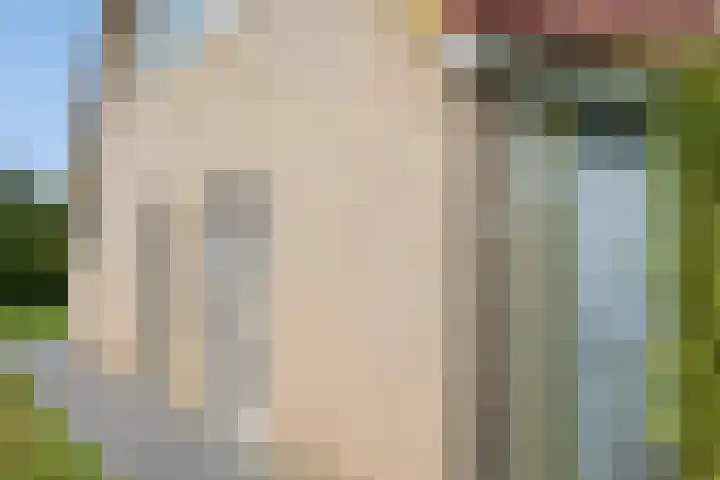 De Vennen 36 Vlagtwedde thumbnail 5