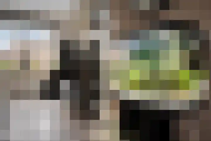 De Vennen 67 Eenrum thumbnail 11