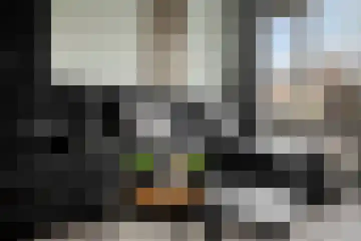 De Vennen 67 Eenrum thumbnail 12