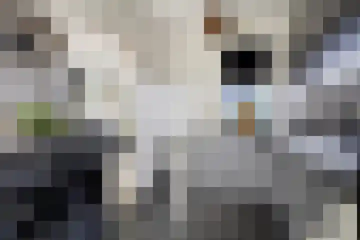 De Vennen 67 Eenrum thumbnail 16
