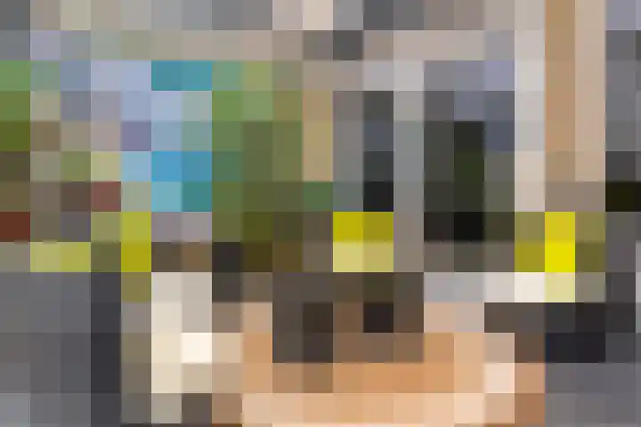 De Vennen 67 Eenrum thumbnail 18
