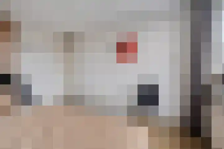 De Vennen 67 Eenrum thumbnail 22