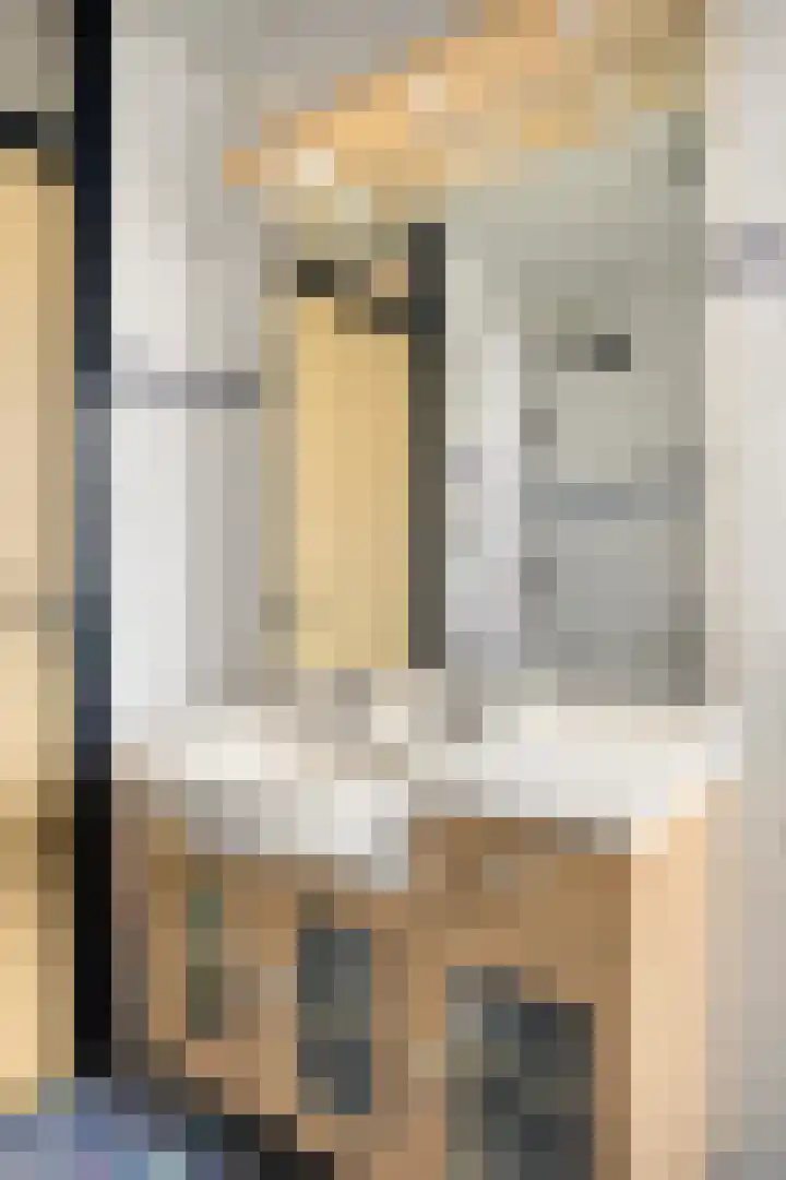 De Vennen 67 Eenrum thumbnail 24