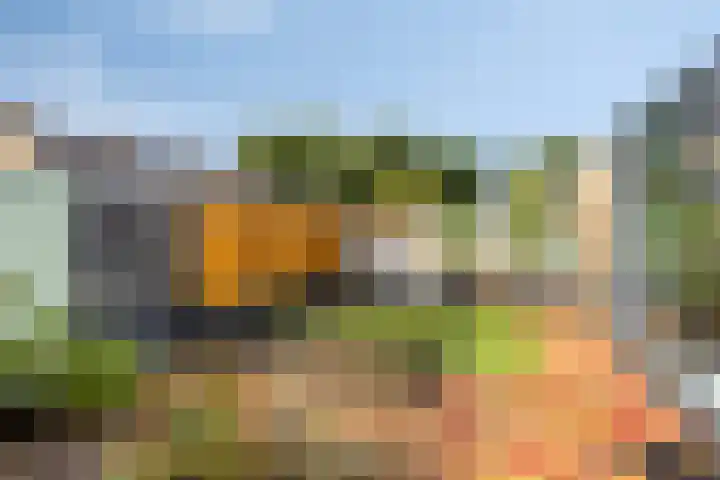 De Vennen 67 Eenrum thumbnail 34