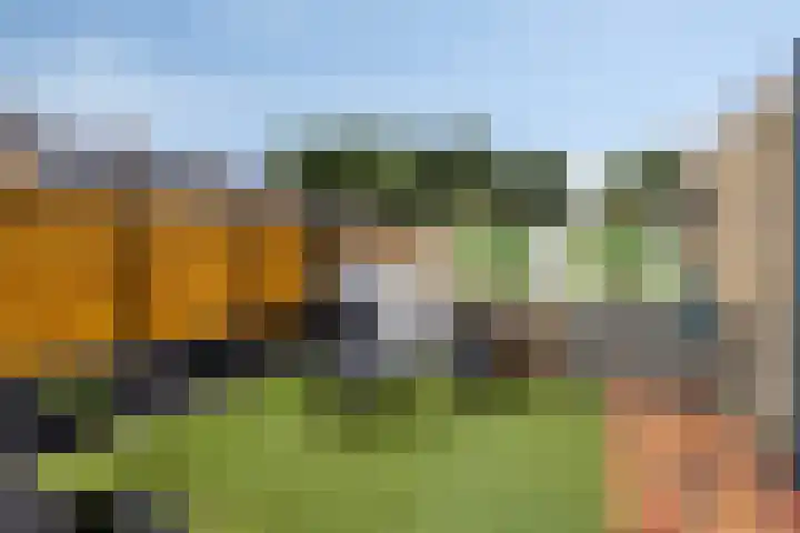 De Vennen 67 Eenrum thumbnail 37