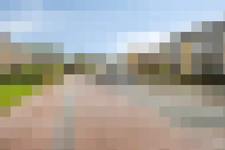 De Vennen 67 Eenrum thumbnail 43