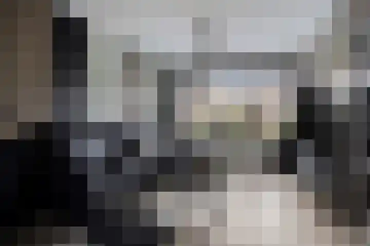 De Vennen 67 Eenrum thumbnail 7