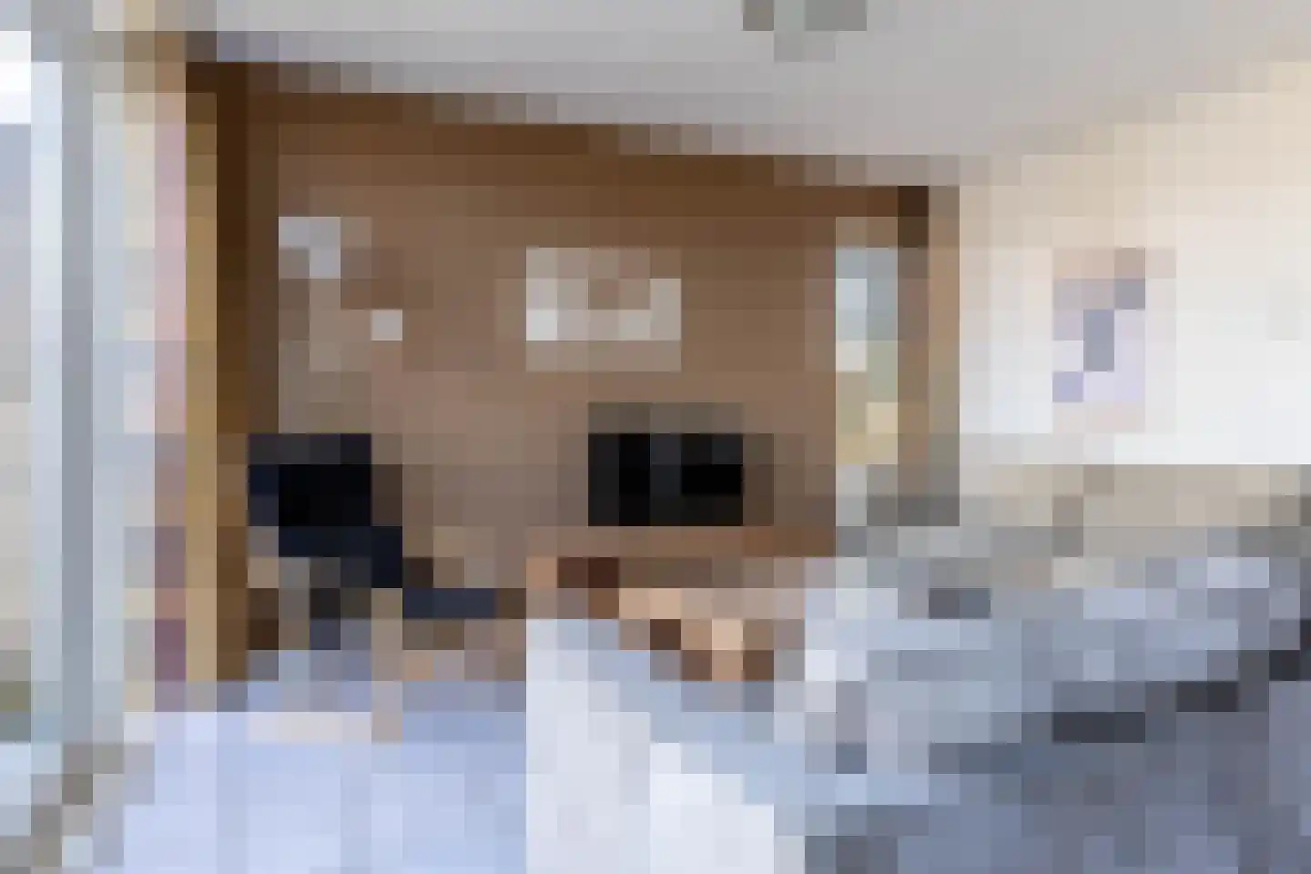 De Vennen 93 Vlagtwedde thumbnail 10