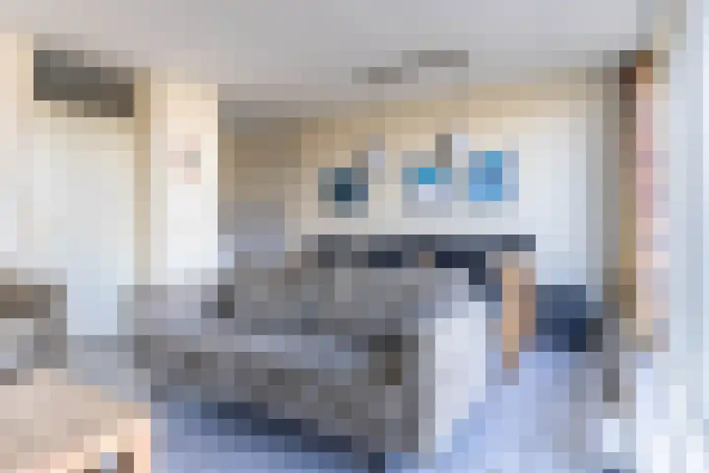 De Vennen 93 Vlagtwedde thumbnail 11