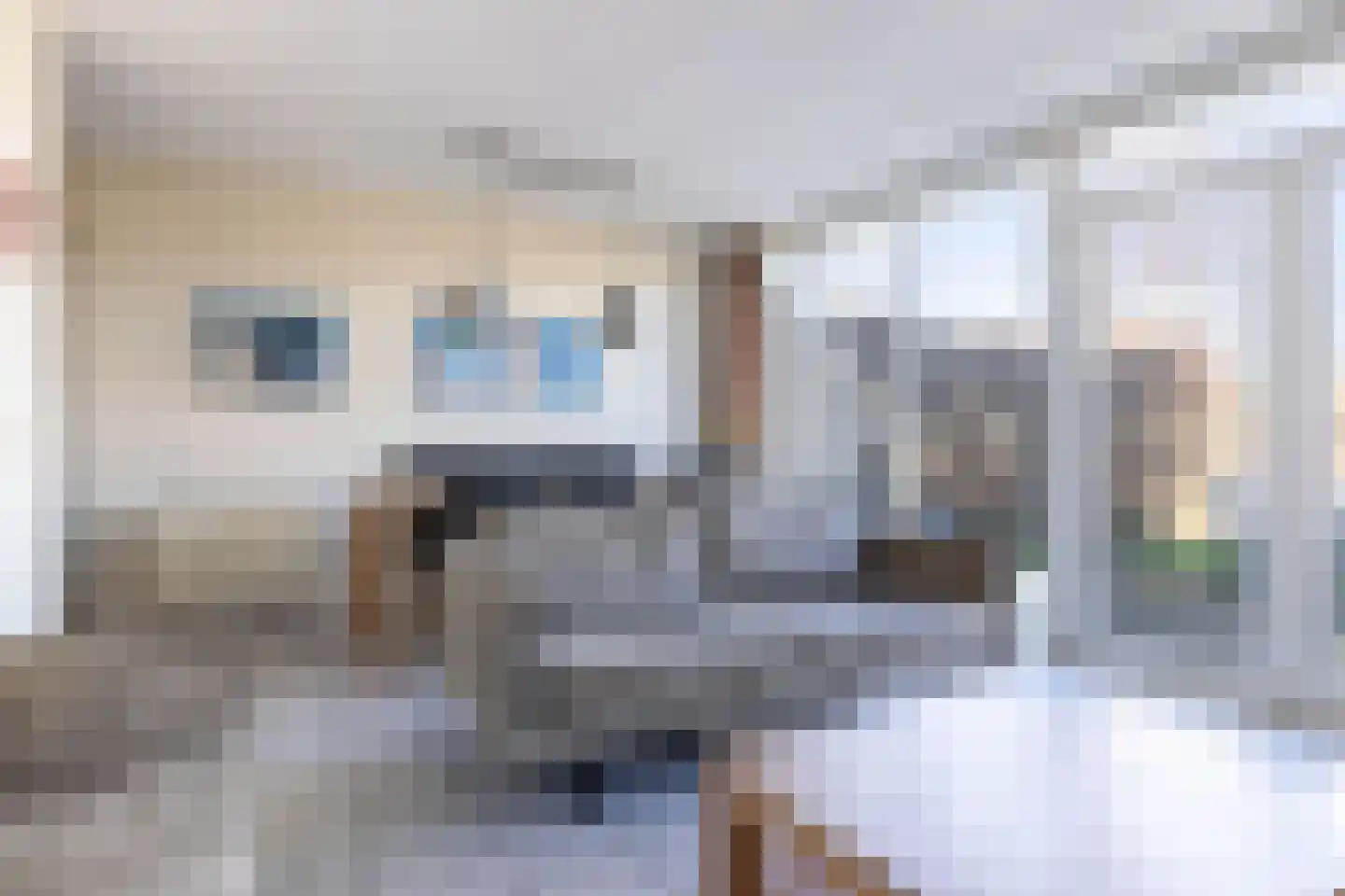 De Vennen 93 Vlagtwedde thumbnail 12