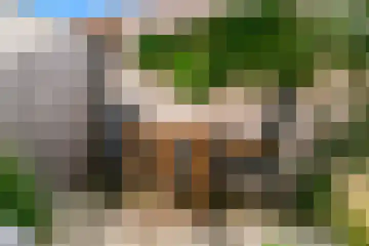 De Vereeniging 10 Limmen thumbnail 36