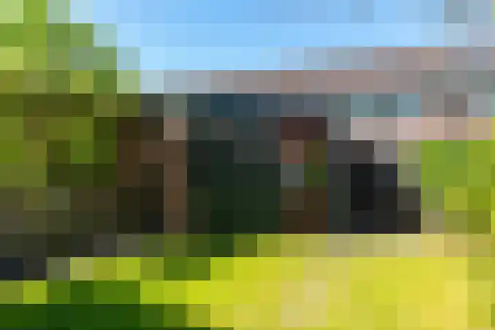 De Vereeniging 22 Limmen thumbnail 14