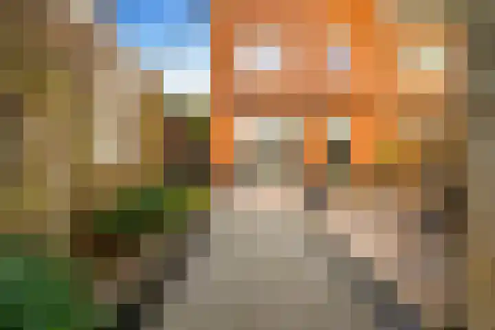 De Vereeniging 4 Limmen thumbnail 42