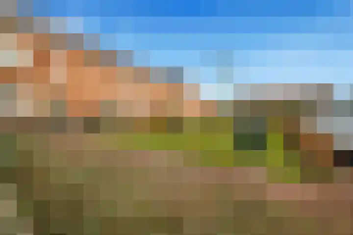De Vereeniging 4 Limmen thumbnail 44
