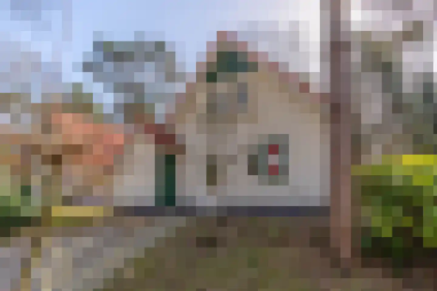 de Vers 217 Overloon