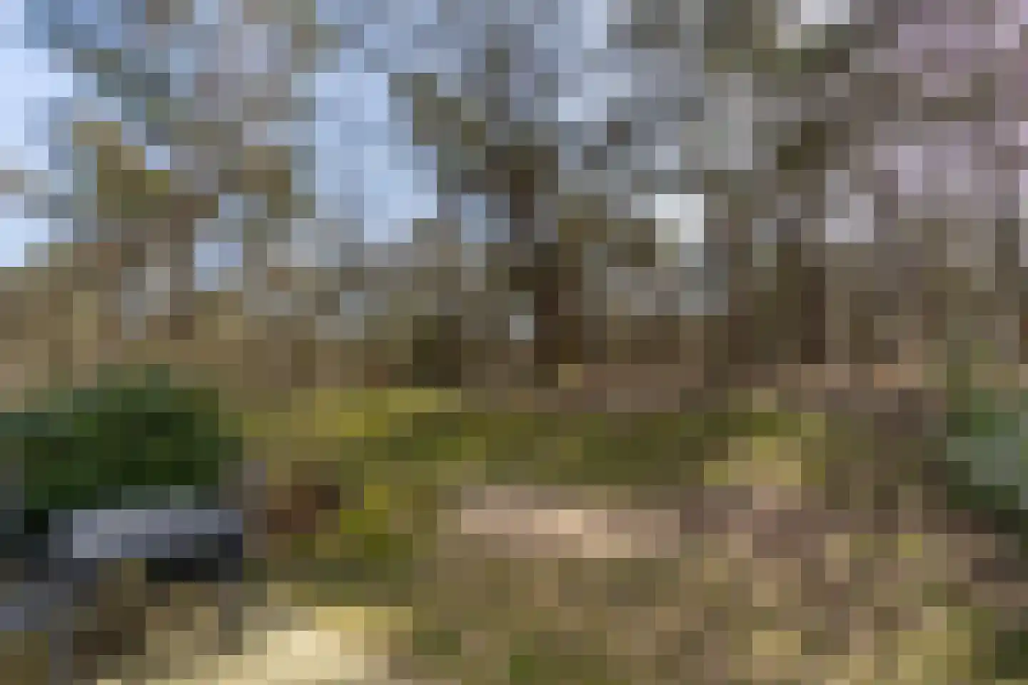 de Vers 217 Overloon thumbnail 10