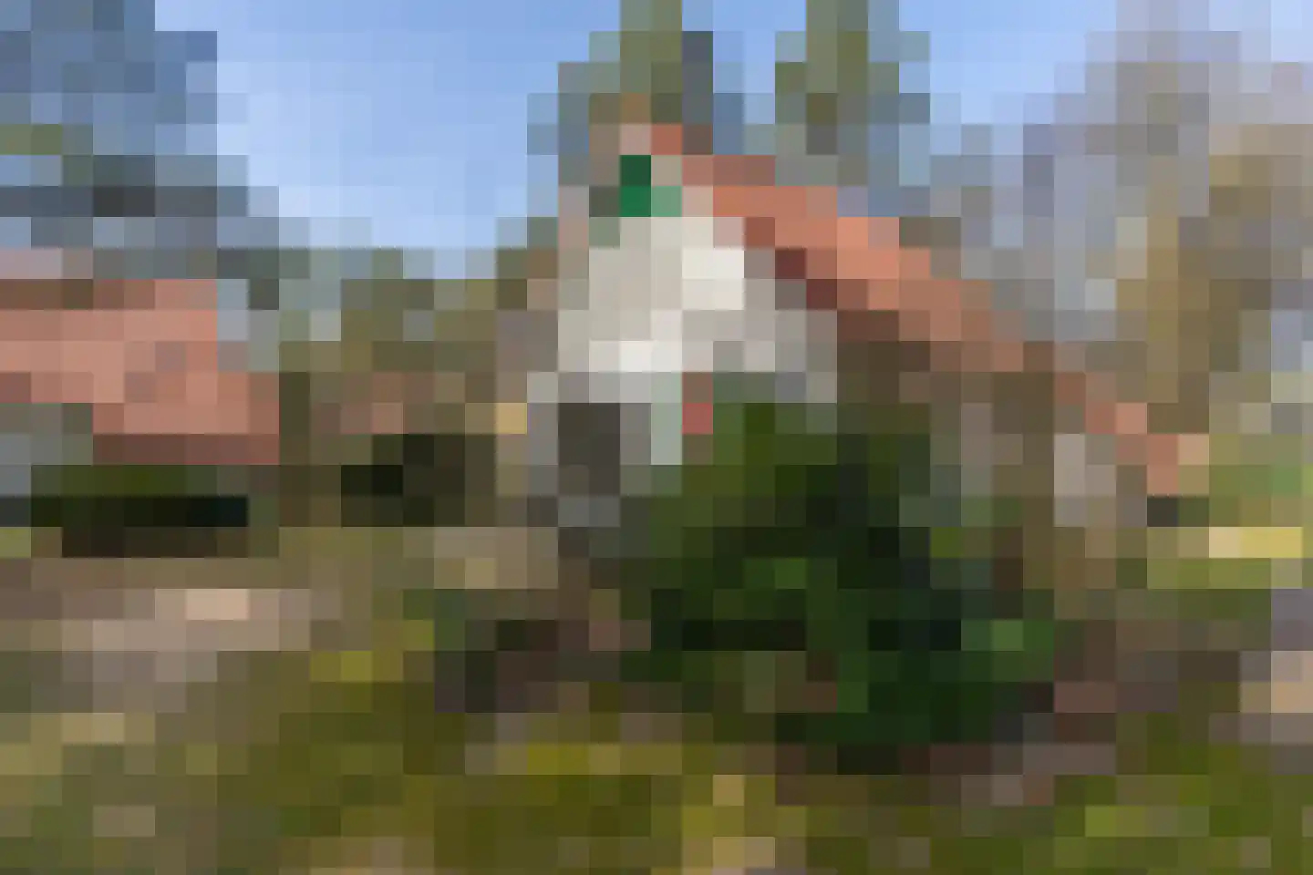 de Vers 217 Overloon thumbnail 8