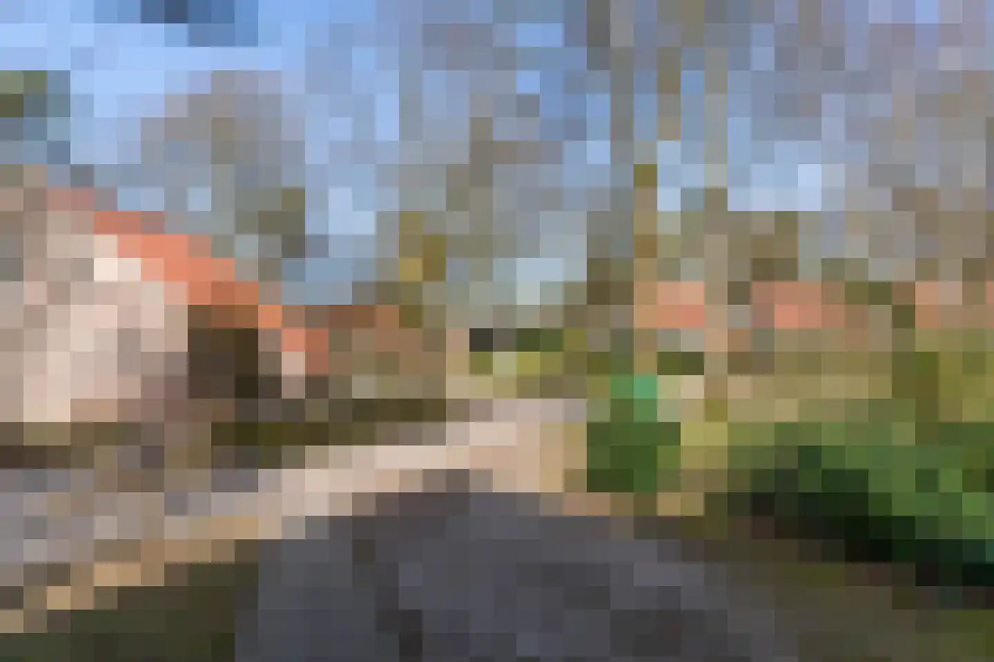 de Vers 217 Overloon thumbnail 14