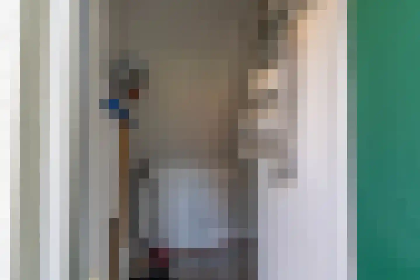 de Vers 217 Overloon thumbnail 15