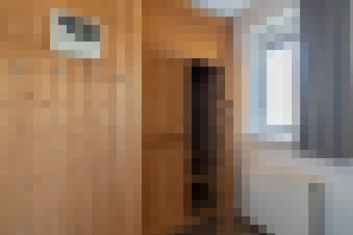 de Vers 217 Overloon thumbnail 20