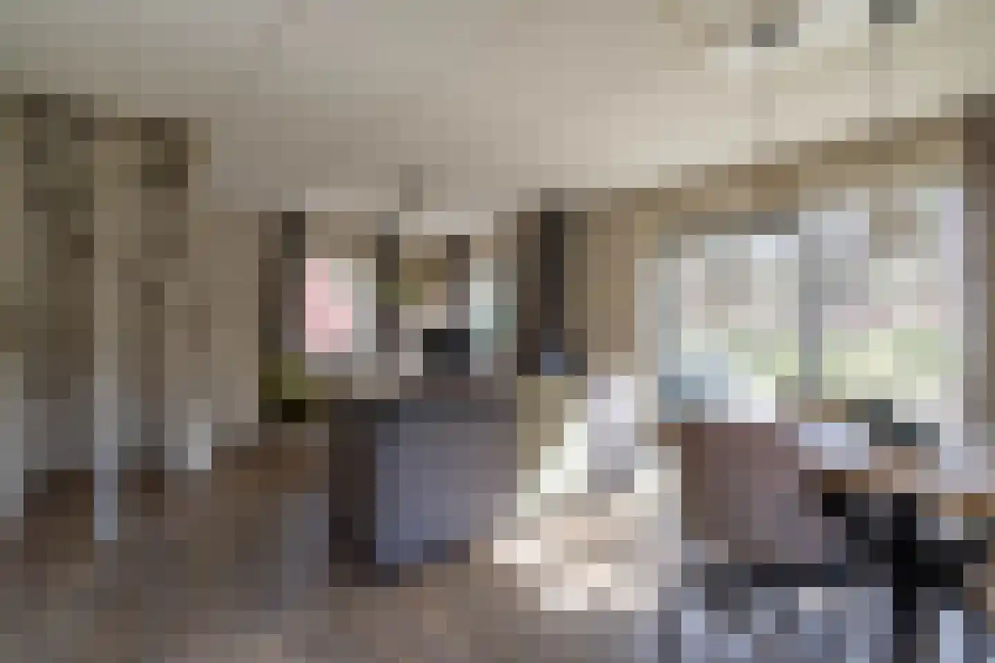 de Vers 217 Overloon thumbnail 30